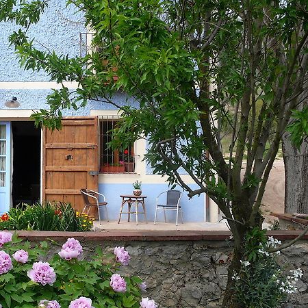 La Casanova De Beuda Villa Oda fotoğraf