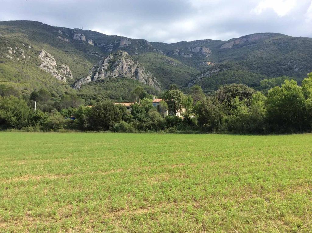 La Casanova De Beuda Villa Dış mekan fotoğraf